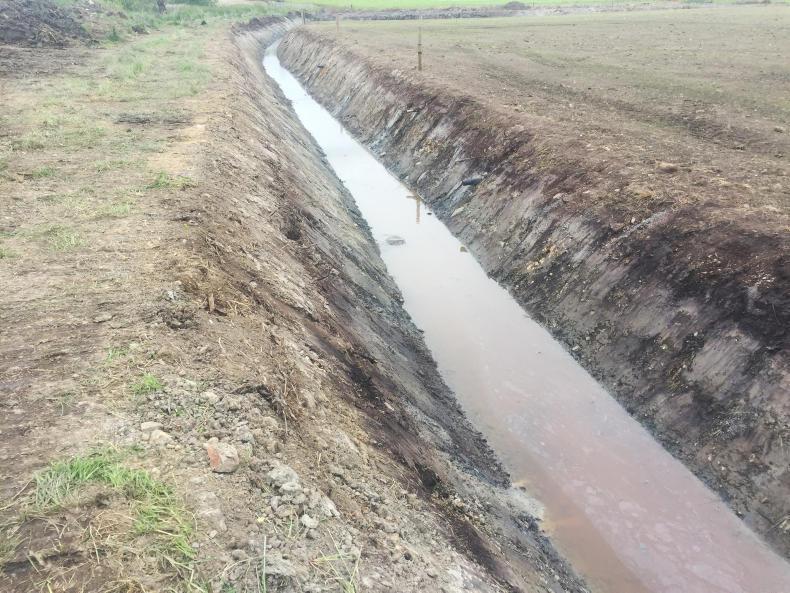 Dairy management: investing in a second unit