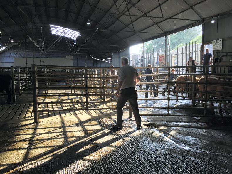 ‘Brexit won’t affect me’: defiance or denial?