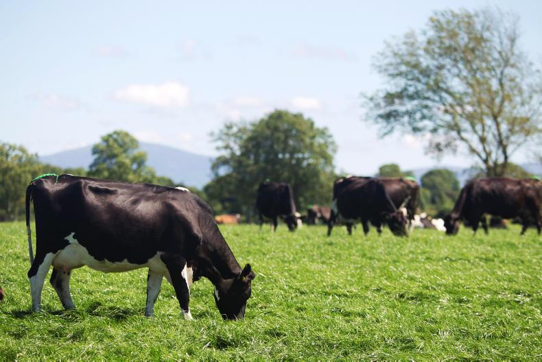 Greenfield update: changing milk liners and increasing growth