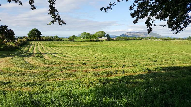 Farmer writes: budgeting to avoid cashflow pressure