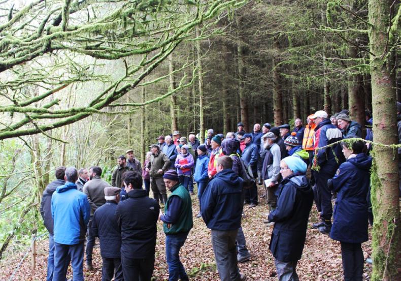 Achieving forest certification