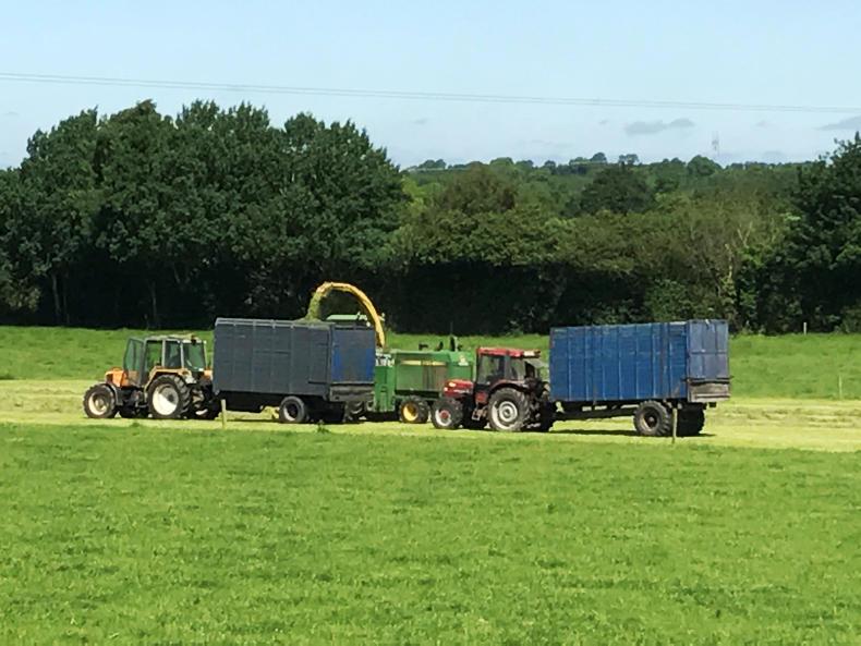 In pictures: Silage 2017      