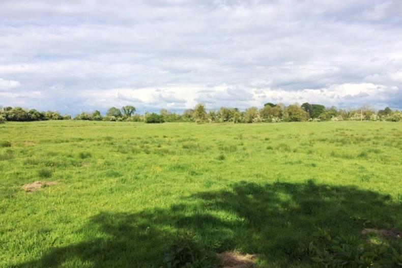 Choice of three in Co Meath