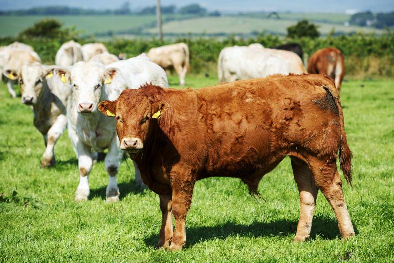 €54m of Bank of Ireland cheap loans drawn down