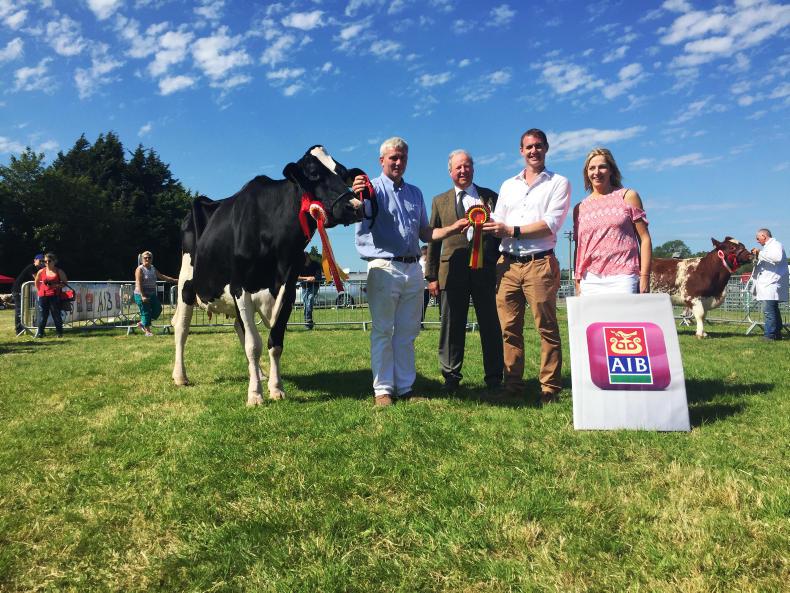 In pictures: blistering heat at Cork summer show