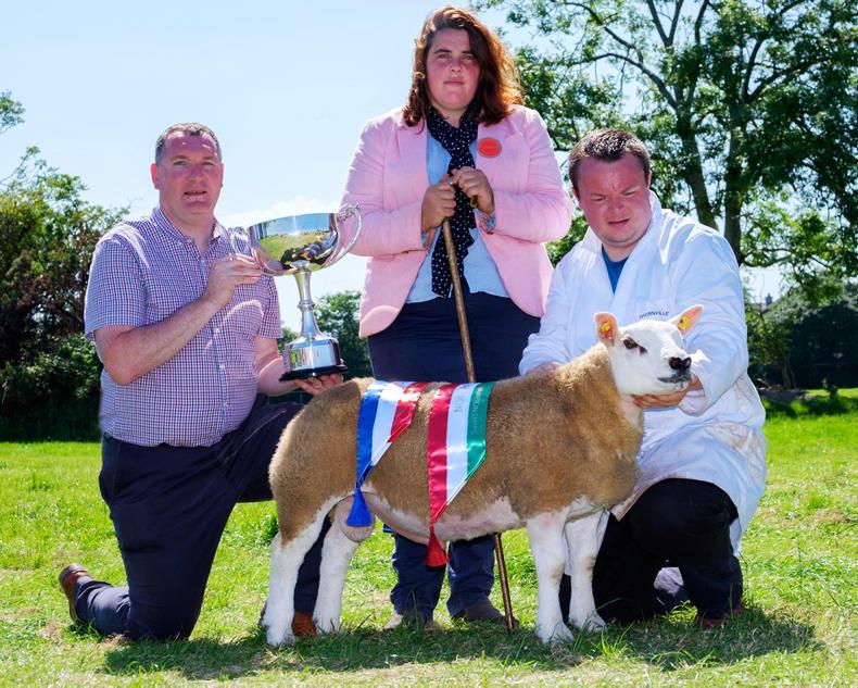 Wallstreet son shines at sweltering Gorey Show