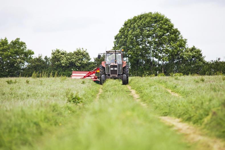 Watch: The Two Johnnies release a new silage song