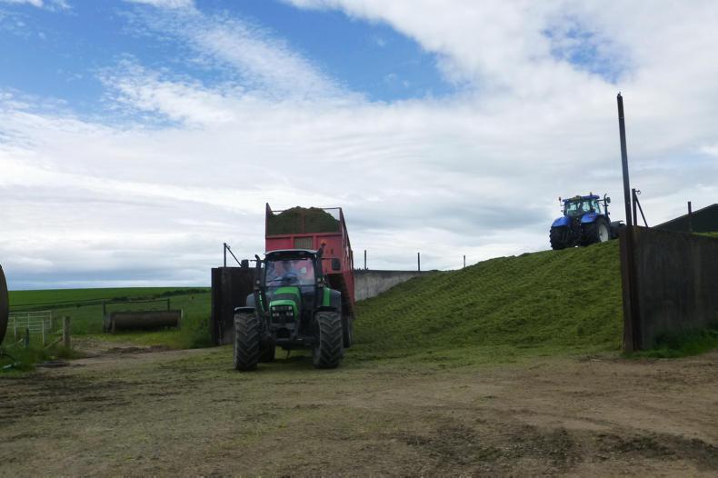 Dealing with too much grass   