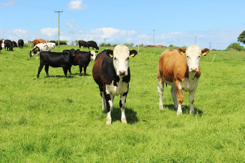 News in-brief from Northern Ireland