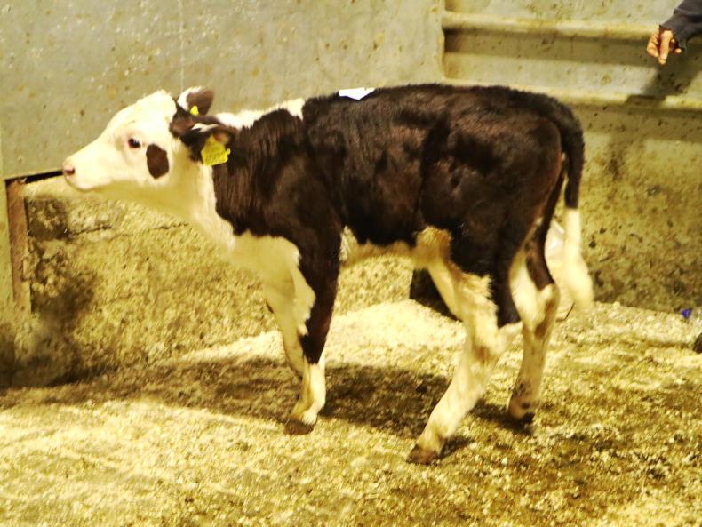 Average calf prices edge up slightly due to low supply
