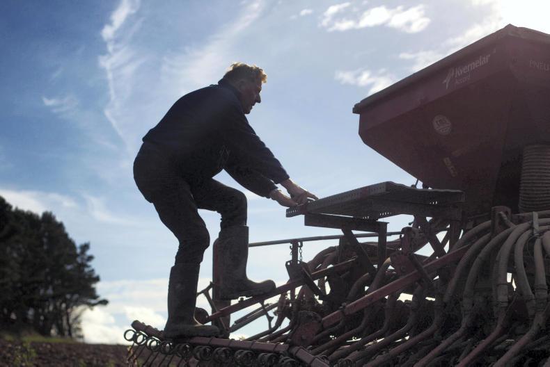 Highest malting barley price in years