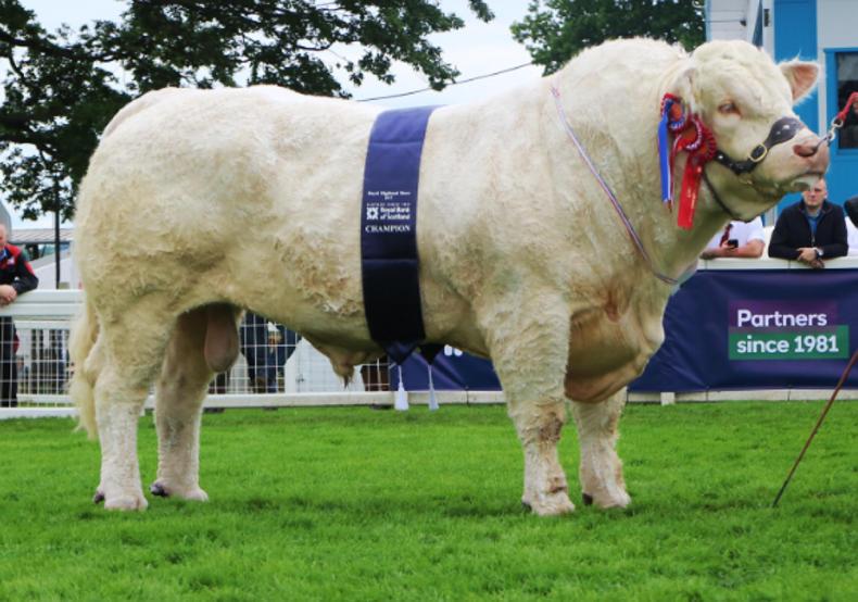 In pictures: Royal Highland Show 2017 off to a flyer