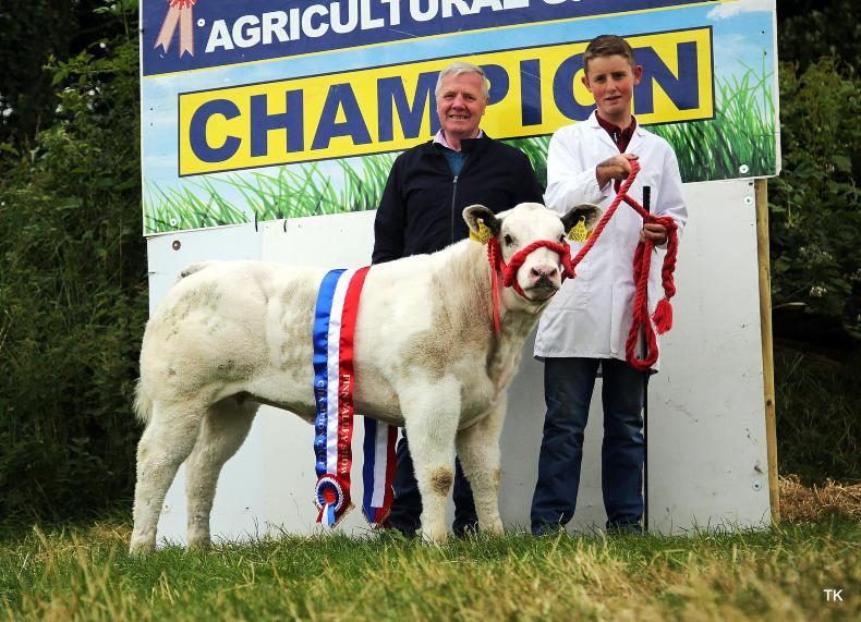 25 years of showing at Finn Valley