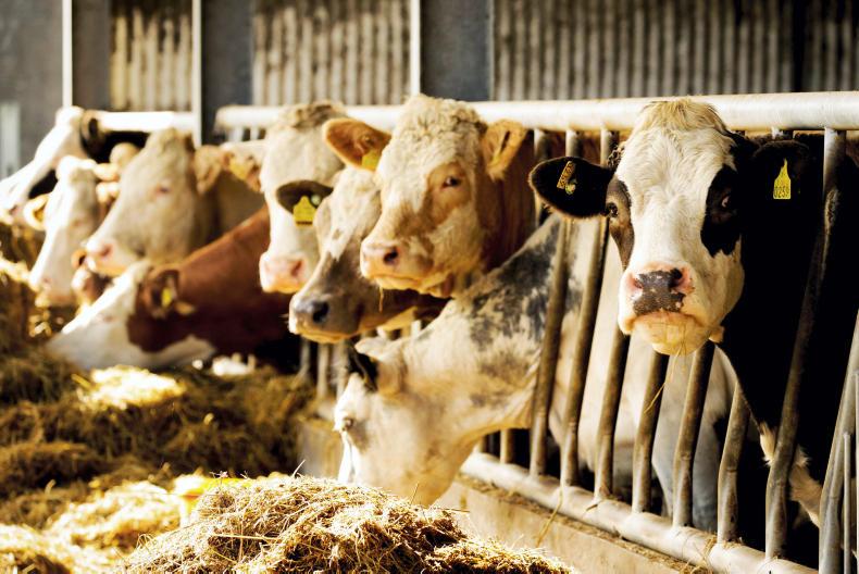 Brazilian president charged with accepting bribes from J&F