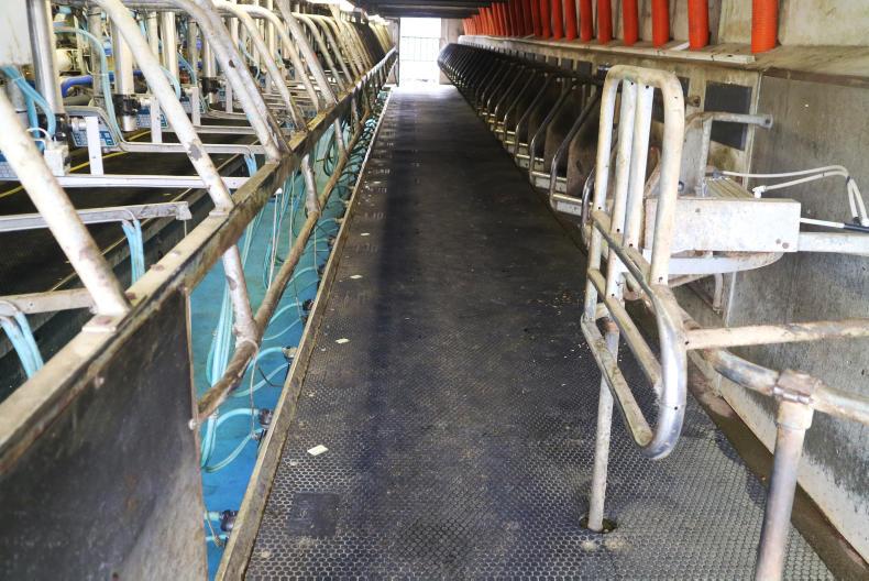 Seven labour-saving investments on a busy dairy farm