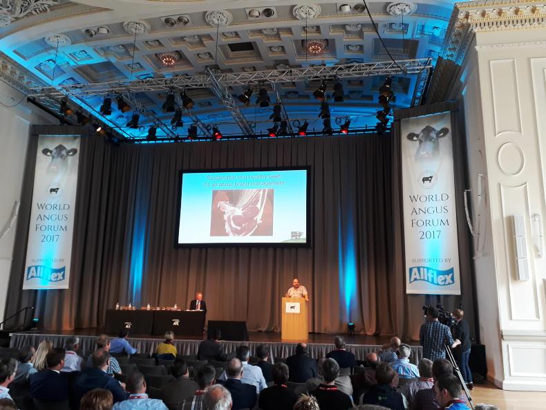 Beef farmers must be prepared to adapt to meet future markets