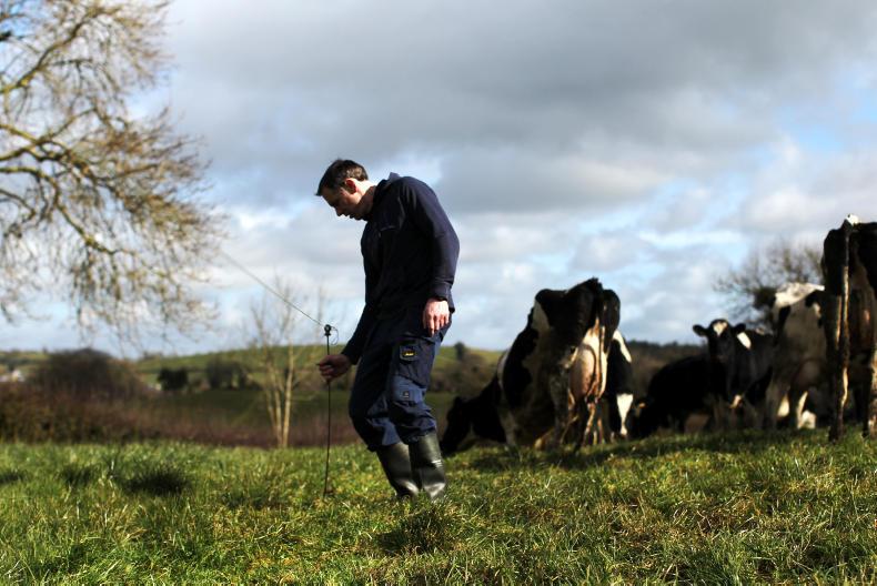 Lifting stocking rate and improving milk protein in Cavan