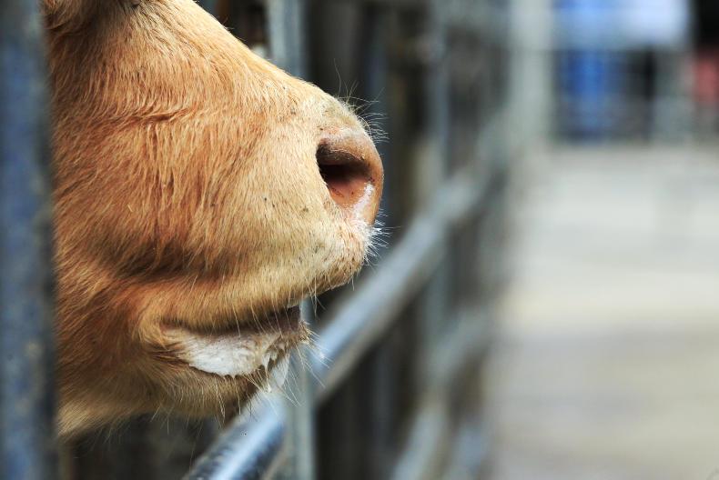 Twenty-five farmers fined in latest tax defaulters list