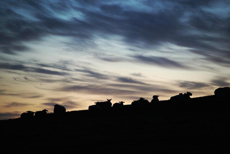 No CAP deadline fines - EU    