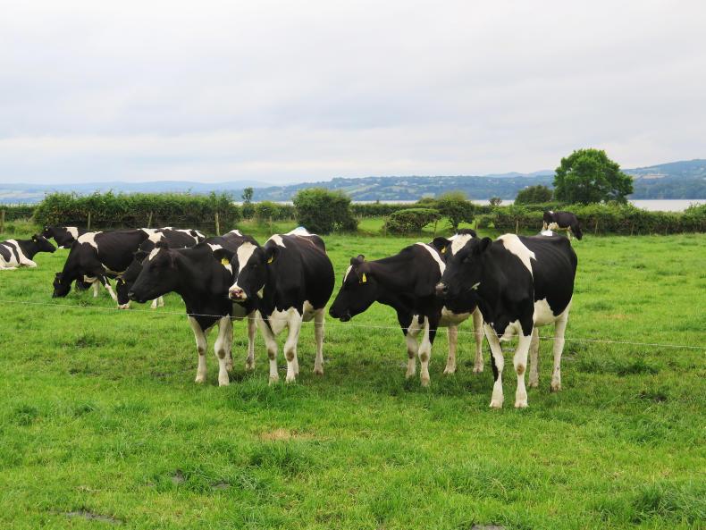 In pictures: growing 2t/ha more grass in Donegal