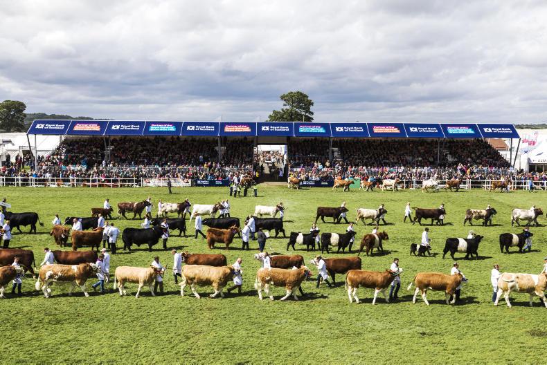 Royal Highland Show ringside review