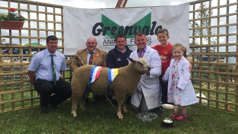 In pictures: Son of champion keeps Mileys out on top