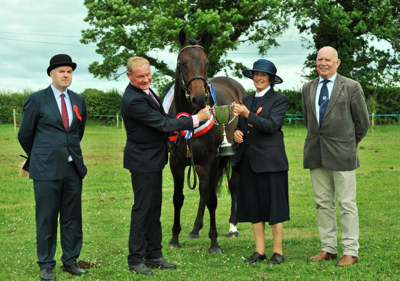 Record entries at Athlone Agricultural Show