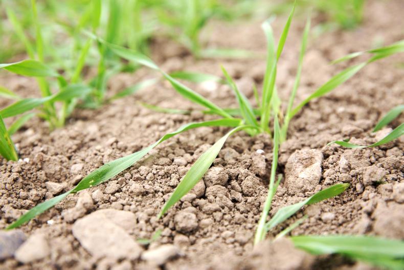 Fertiliser salesman fined for claiming illegal social welfare payments 