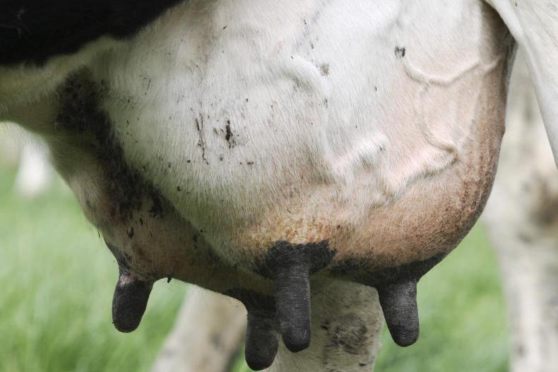 Milk price review: share-up requirement varies between processors