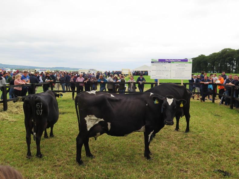 Village life at Moorepark open day