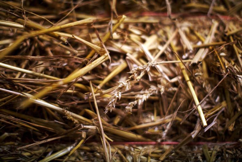 60,000t of straw wanted for Offaly biomass plant Premium