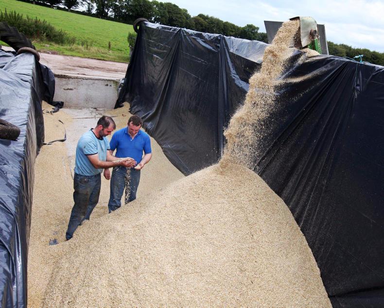 Farm to farm feed: what are the options?