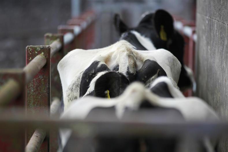 Monday Management: what to do with late season abortions