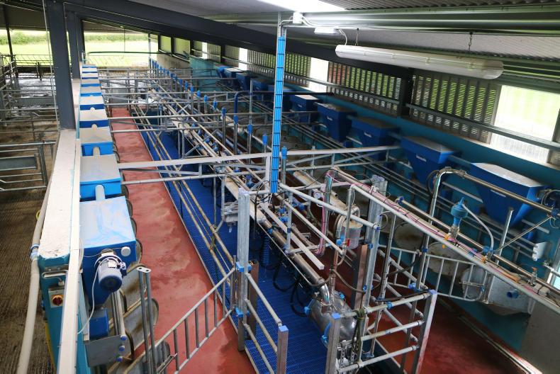 Watch: one-stop shop for expanding dairy herd