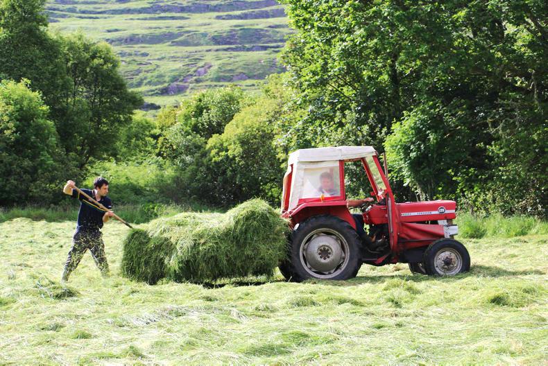 Vote for your favourite summer photo 