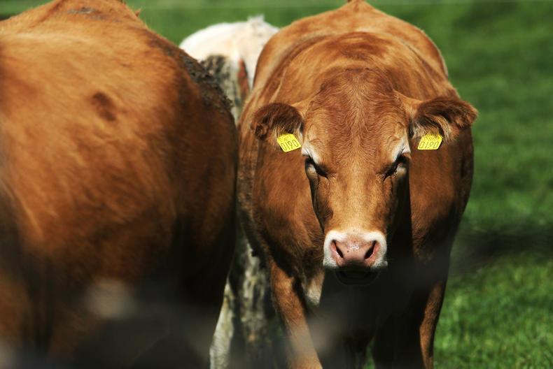 Factories using AIM system to penalise farmers – ICOS