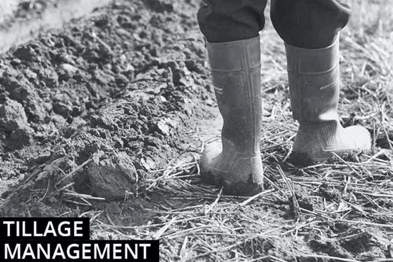 Tillage management: weed control