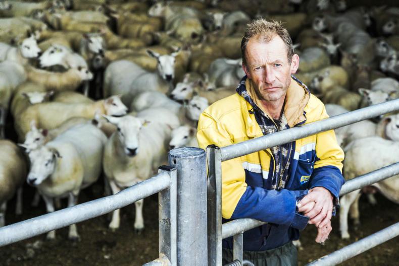 Using an extended lambing period to achieve year round lamb sales