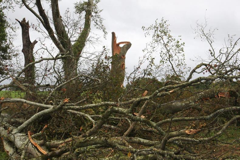 Lock up the cattle - Ken Ring forecasts tornado in Sligo next month