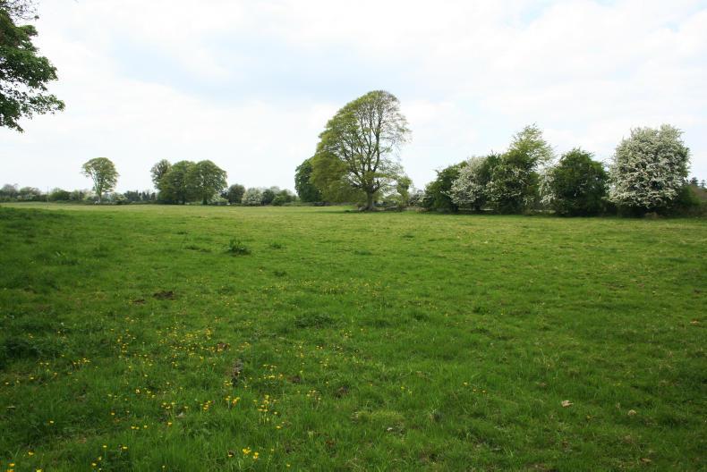 339 acres in the midlands makes €1.68m