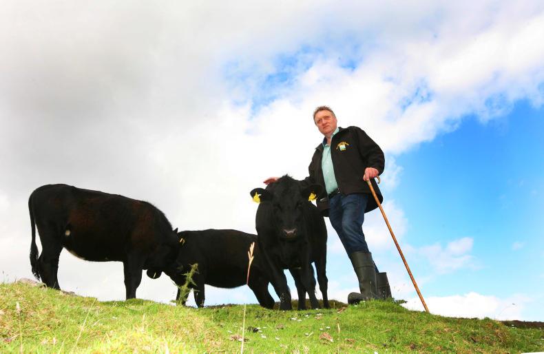 Farming on a hill on the periphery of Europe