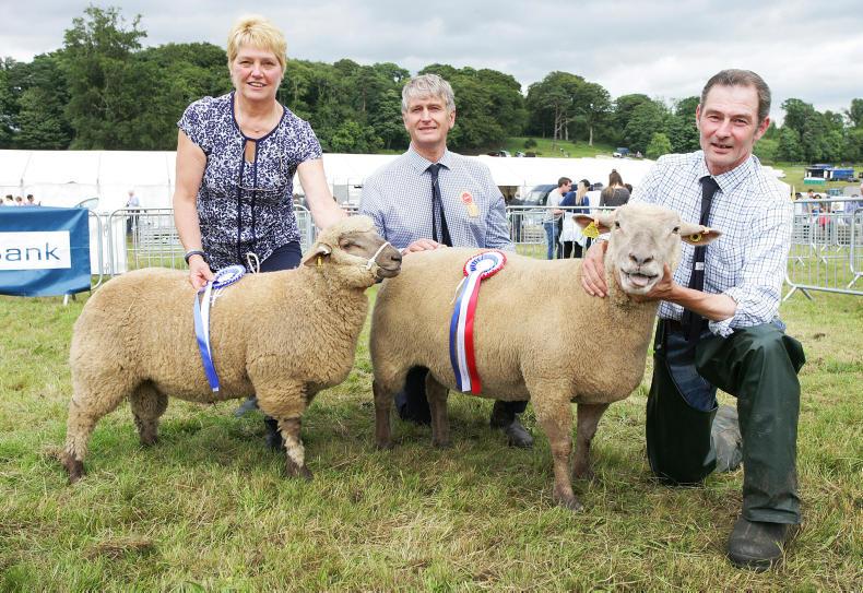 Around the country in pictures this week                                     