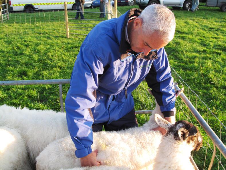 Nutrition critical to positive breeding performance