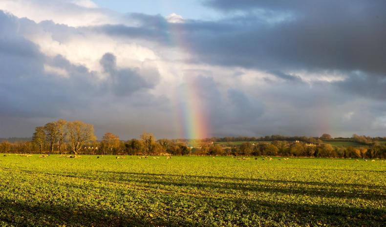 Contributing to climate plan while maximising value of food industry