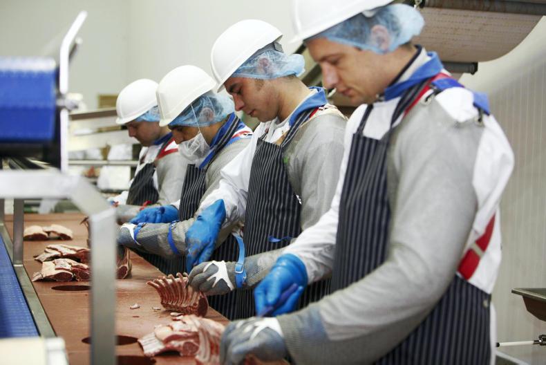 Sheep trends: factories struggle to pull lamb prices