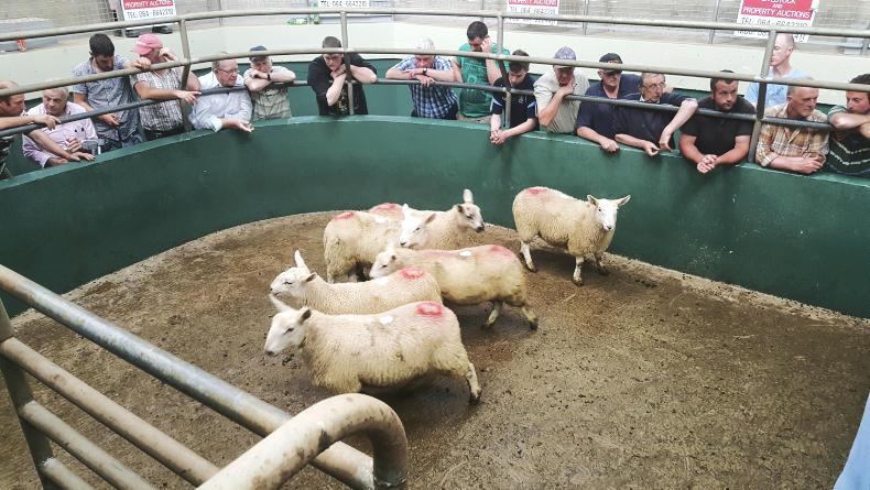 A guide to special and upcoming sales in the marts in the coming weeks