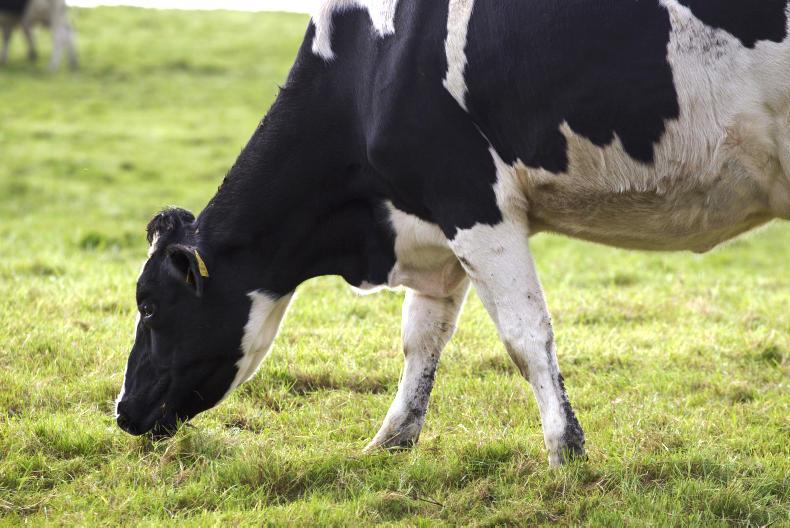 Farmers must benefit fully from dairy upturn