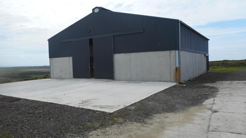 Cow comfort high on the agenda for Clare suckler shed