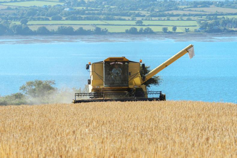 Irish grain prices near top in new EU rankings