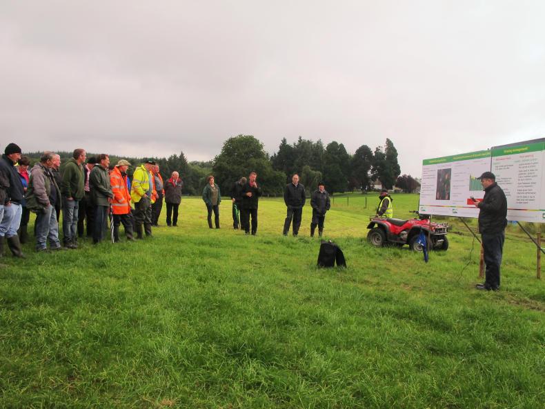 In pictures: Aiming for a €1,000 gross margin on Leitrim BETTER sheep farm
